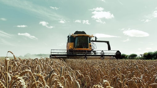 ماكينة حصاد مجمعة صفراء في حقل قمح